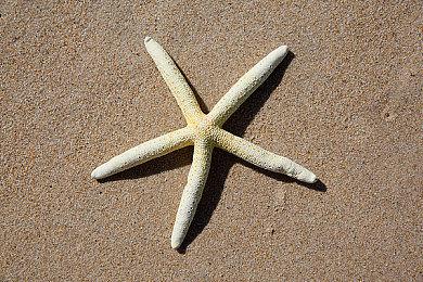 奇怪的组合 戴森球计划联动人类一败涂地